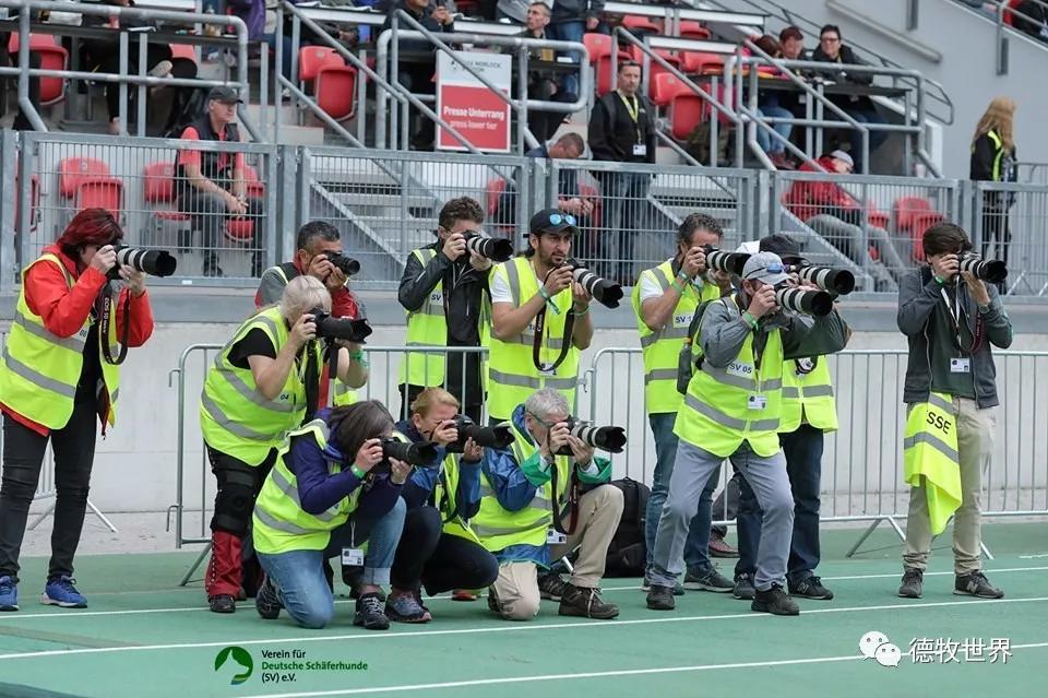 yabo-Scout重要时刻表现优异，德国队带队取胜！赛场气氛高涨-yabo